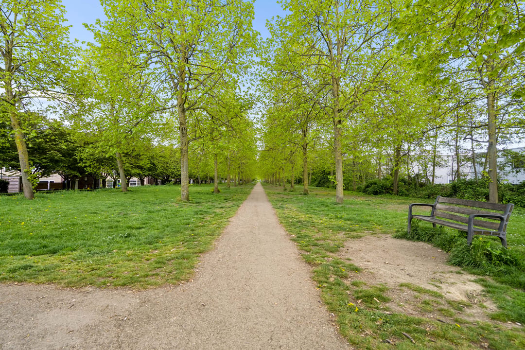 Photo 47 of Het Hout 14