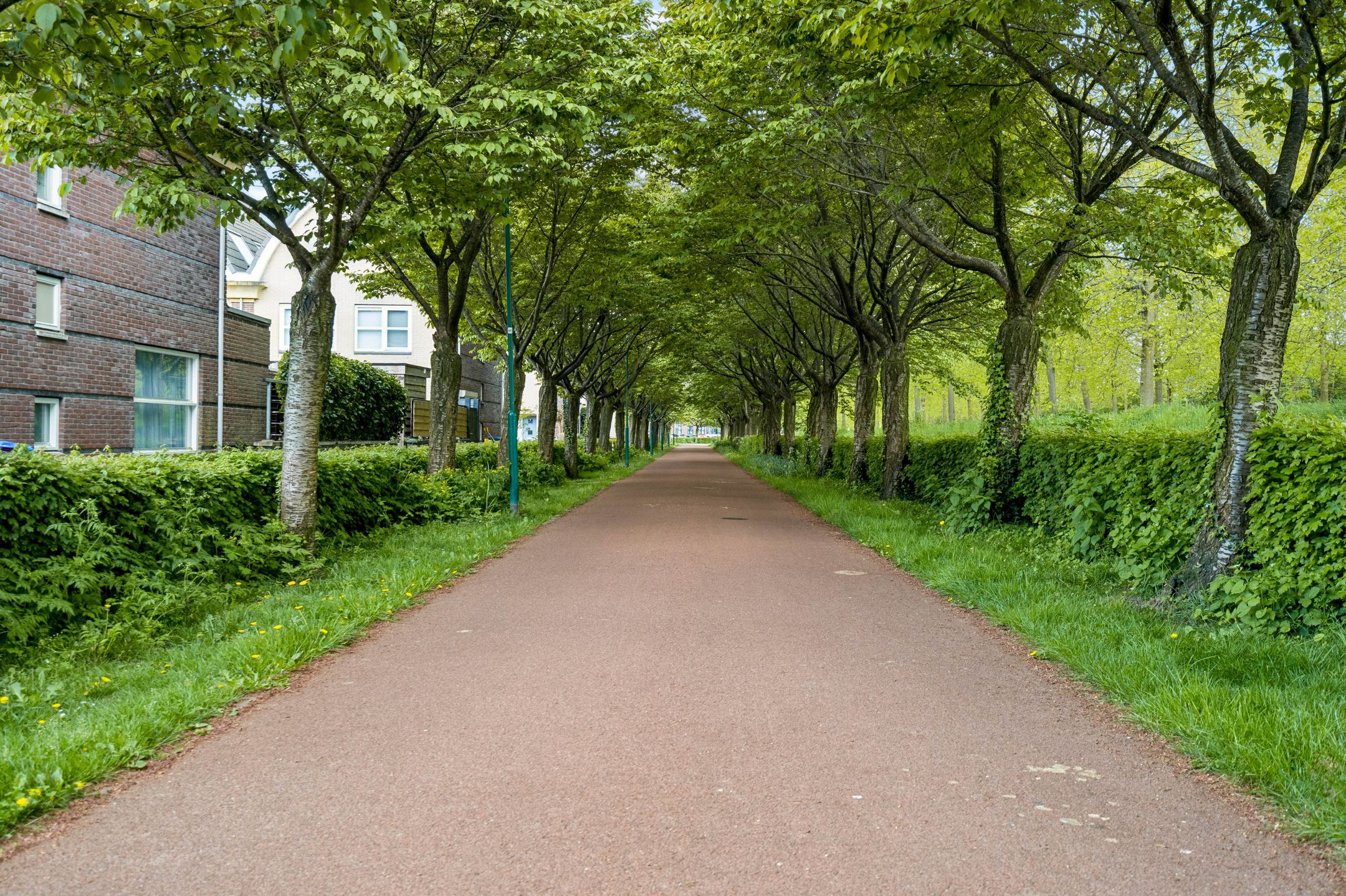 Photo 48 of Het Hout 14