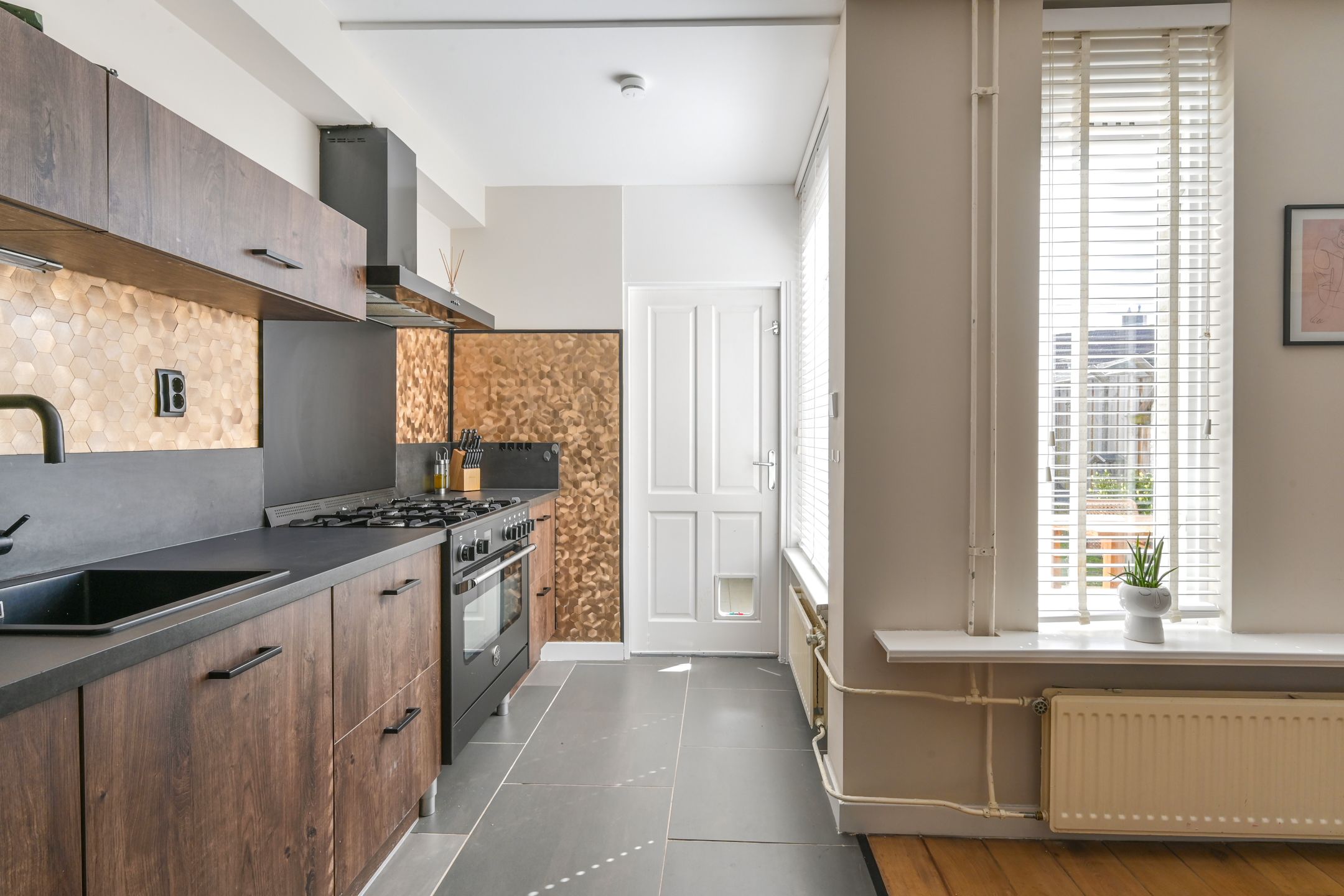 Foto 18 van van Leeuwenhoekstraat 38