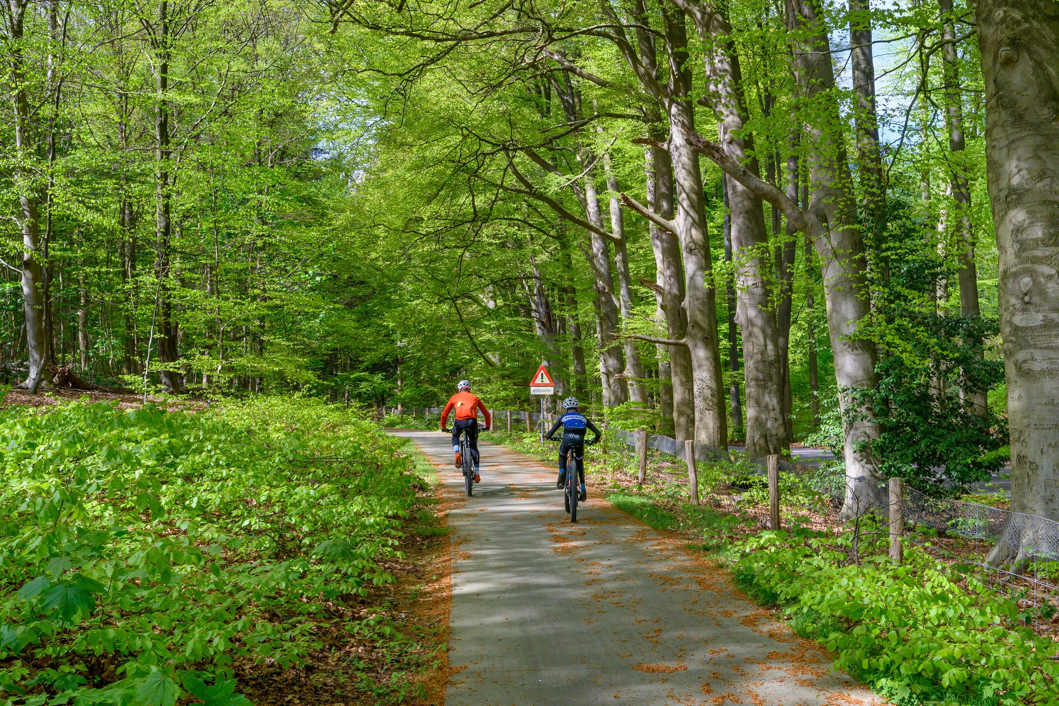 Foto 63 van Parallelweg 16