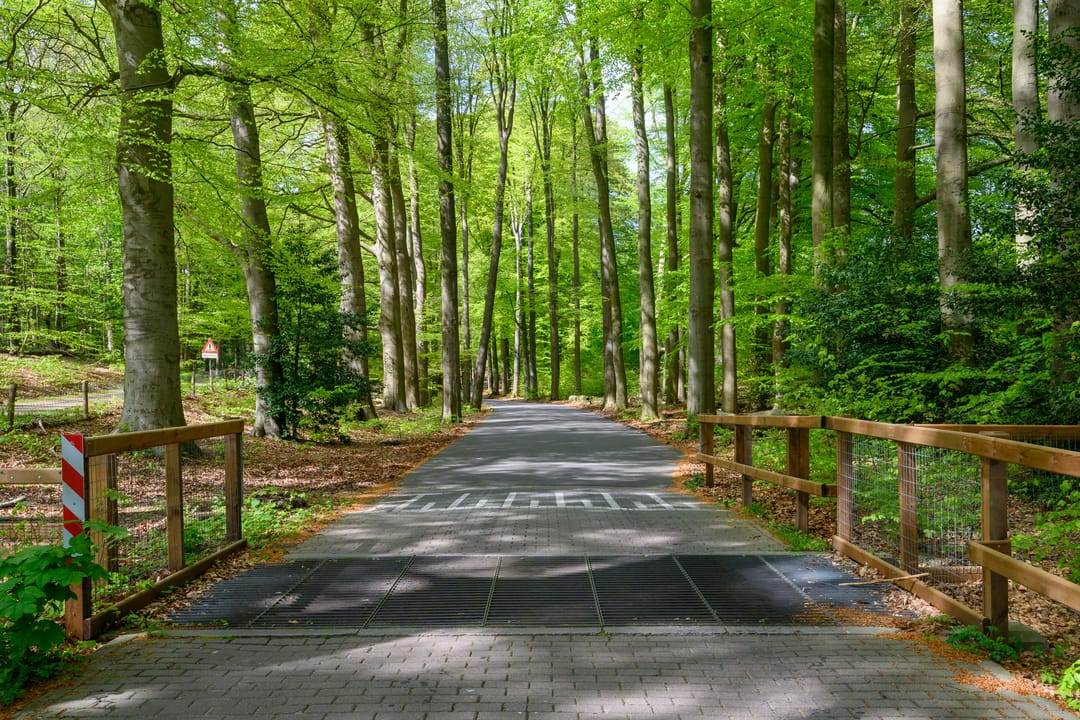 Foto 62 van Parallelweg 16