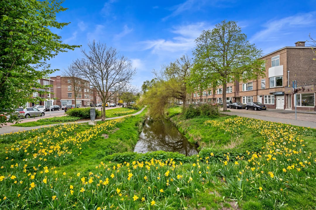 Foto 47 van Hulststraat 17