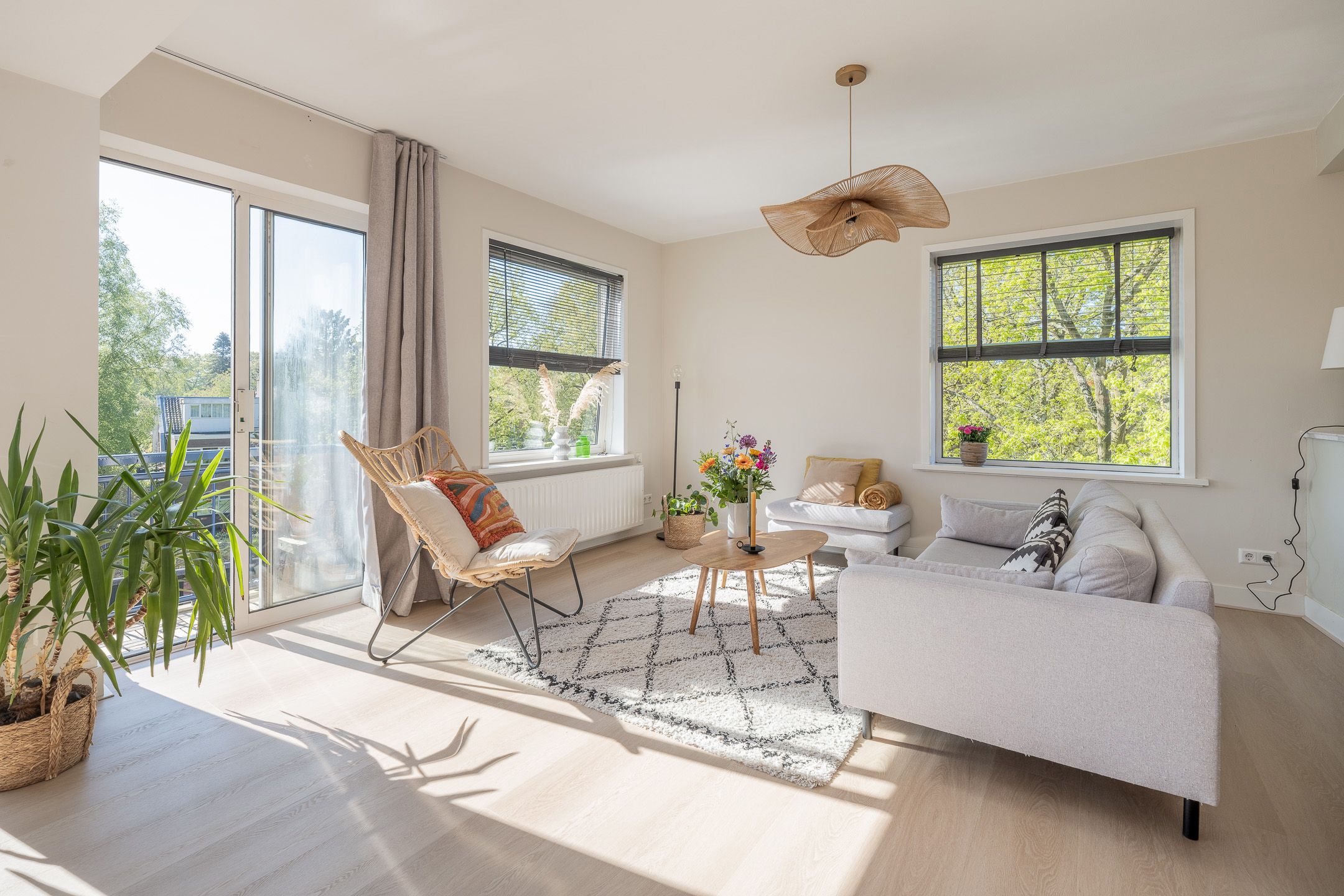 Photo 3 of de Engh 16-III