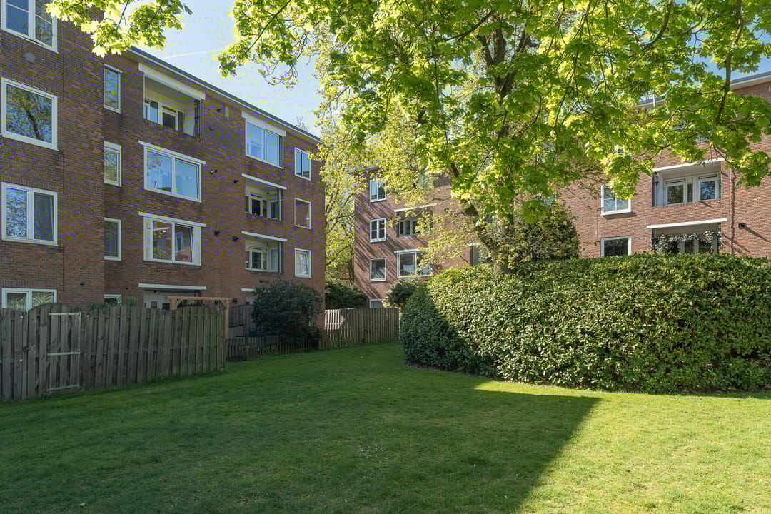 Photo 37 of de Engh 16-III