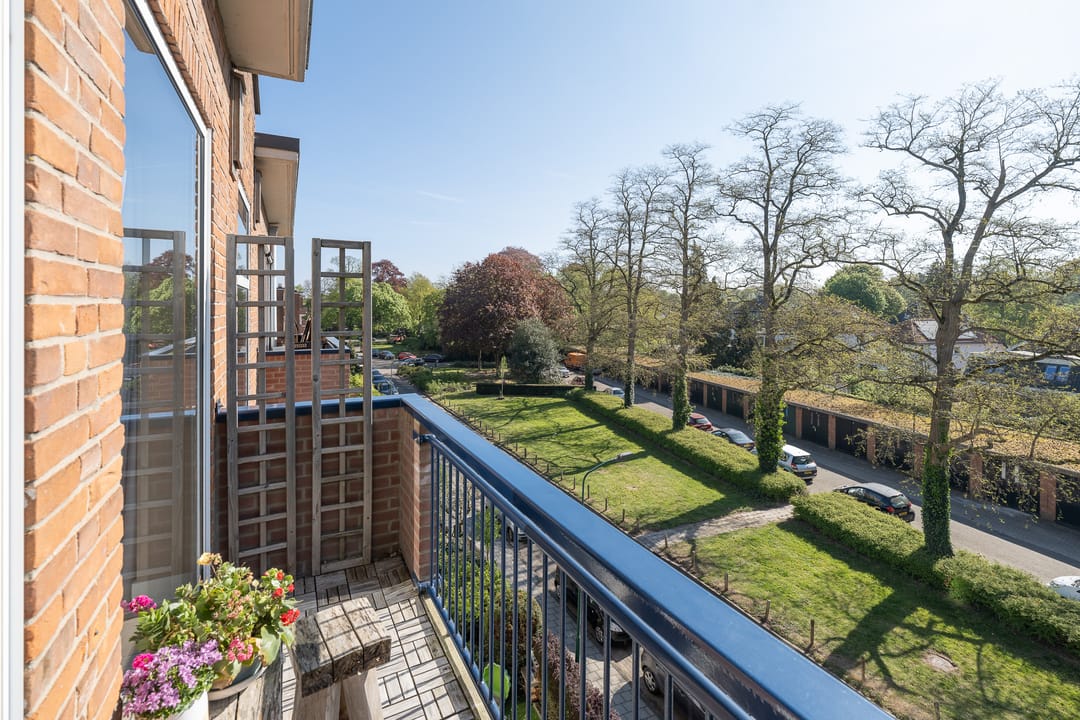 Photo 13 of de Engh 16-III