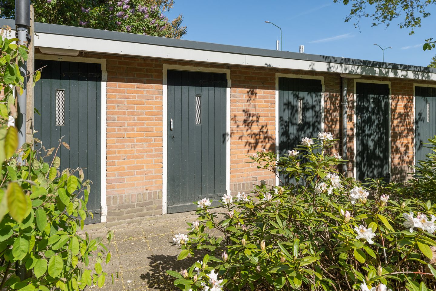 Photo 34 of de Engh 16-III