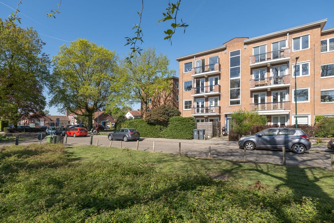 Photo 38 of de Engh 16-III