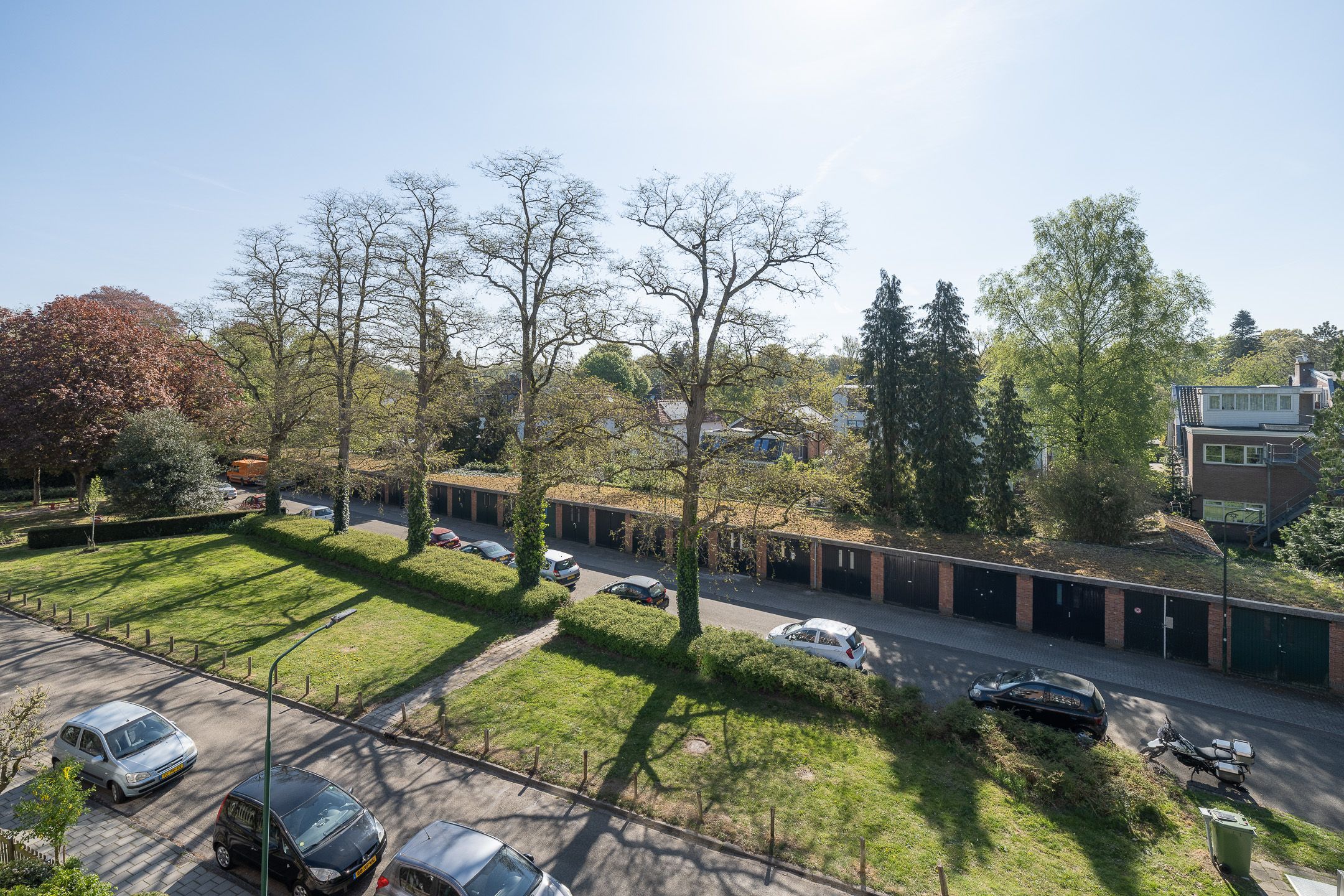 Photo 15 of de Engh 16-III