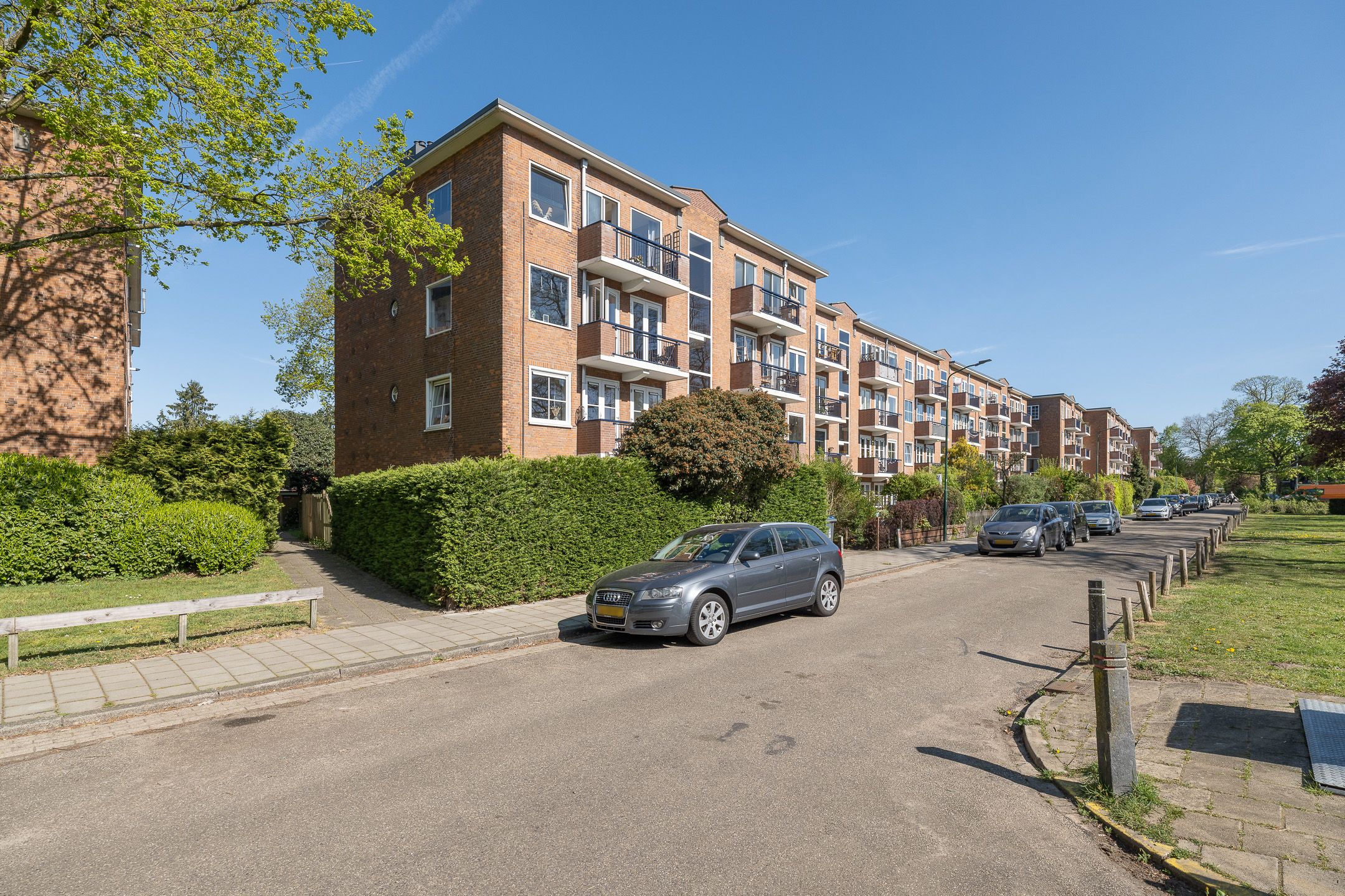 Photo 39 of de Engh 16-III