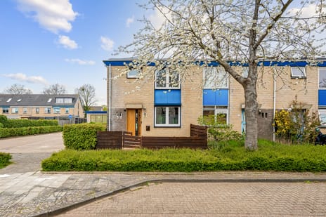 Cellostraat thumbnail