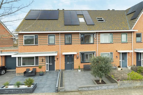 Palissanderhout thumbnail