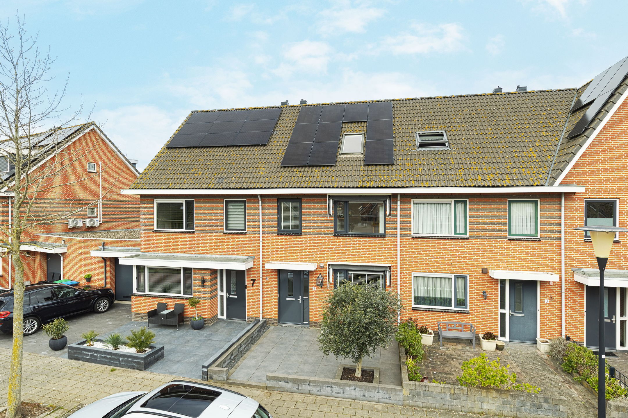 Foto 33 van Palissanderhout 5