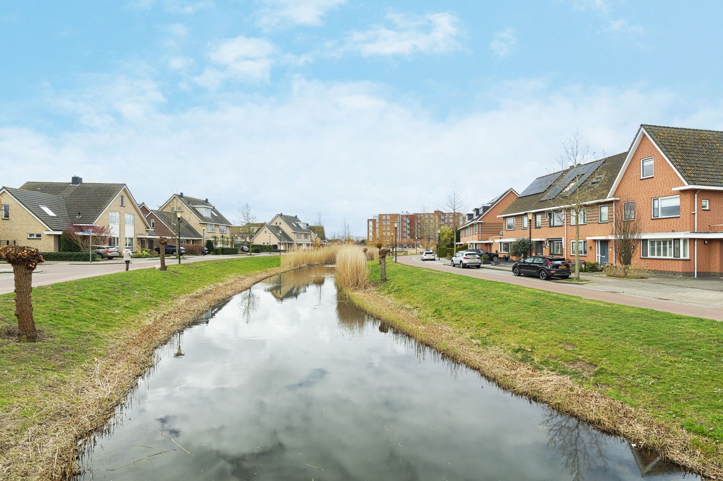 Foto 5 van Palissanderhout 5