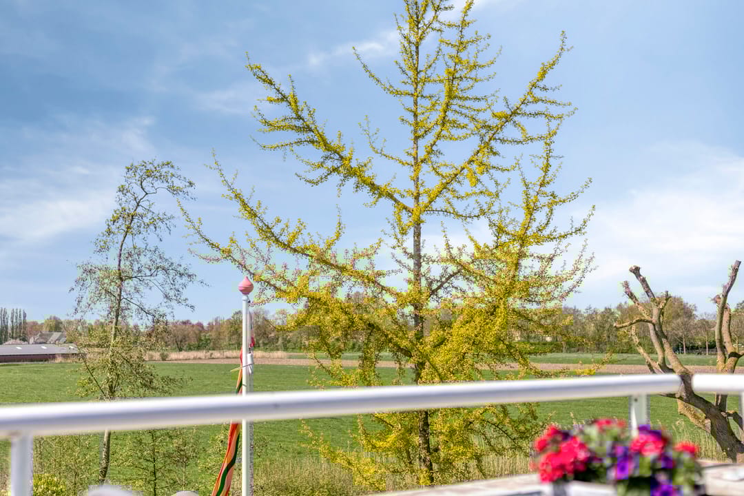 Foto 37 van Coreemarke 25