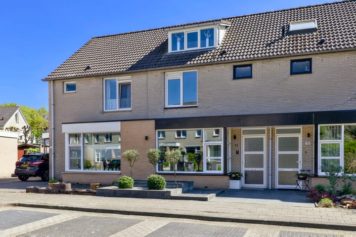 Distel 11 main image