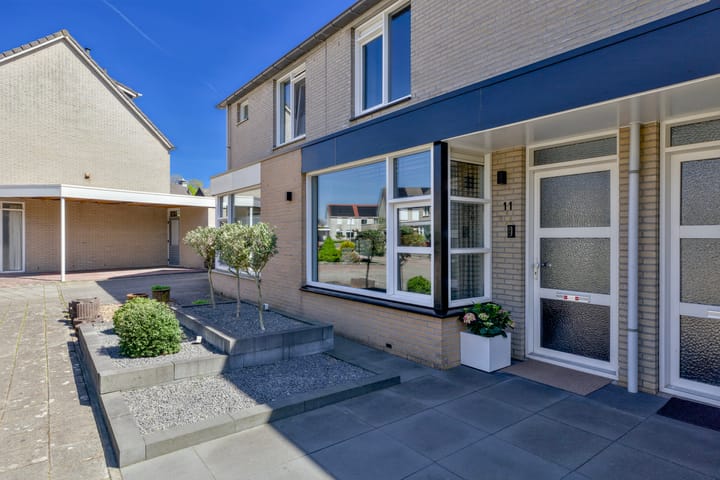 Foto 4 van Distel 11