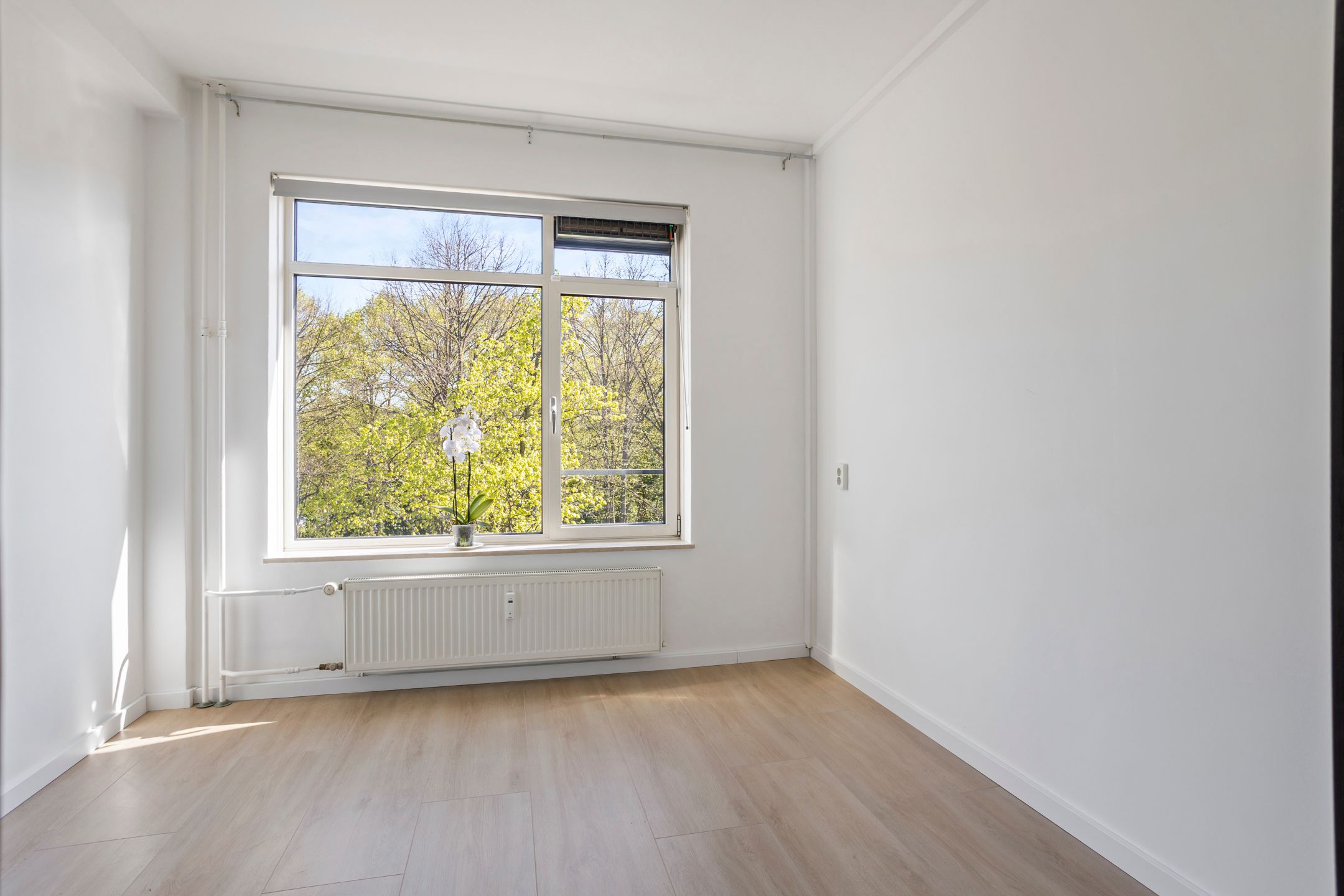 Foto 12 van Huis te Landelaan 340