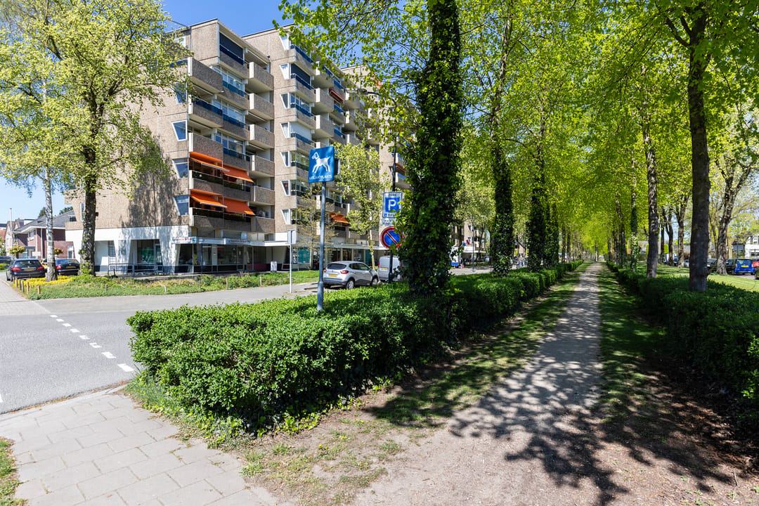 Photo 31 of Koning Lodewijklaan 176