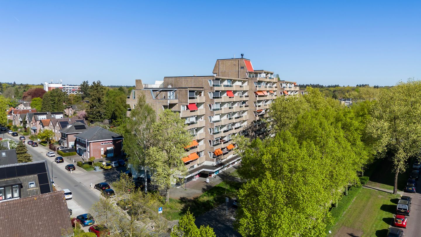 Photo 35 of Koning Lodewijklaan 176