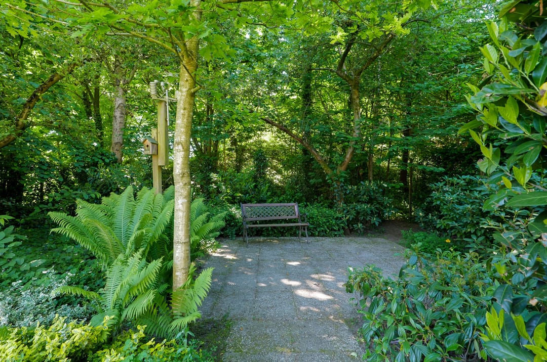 Foto 32 van Diepsloot 4