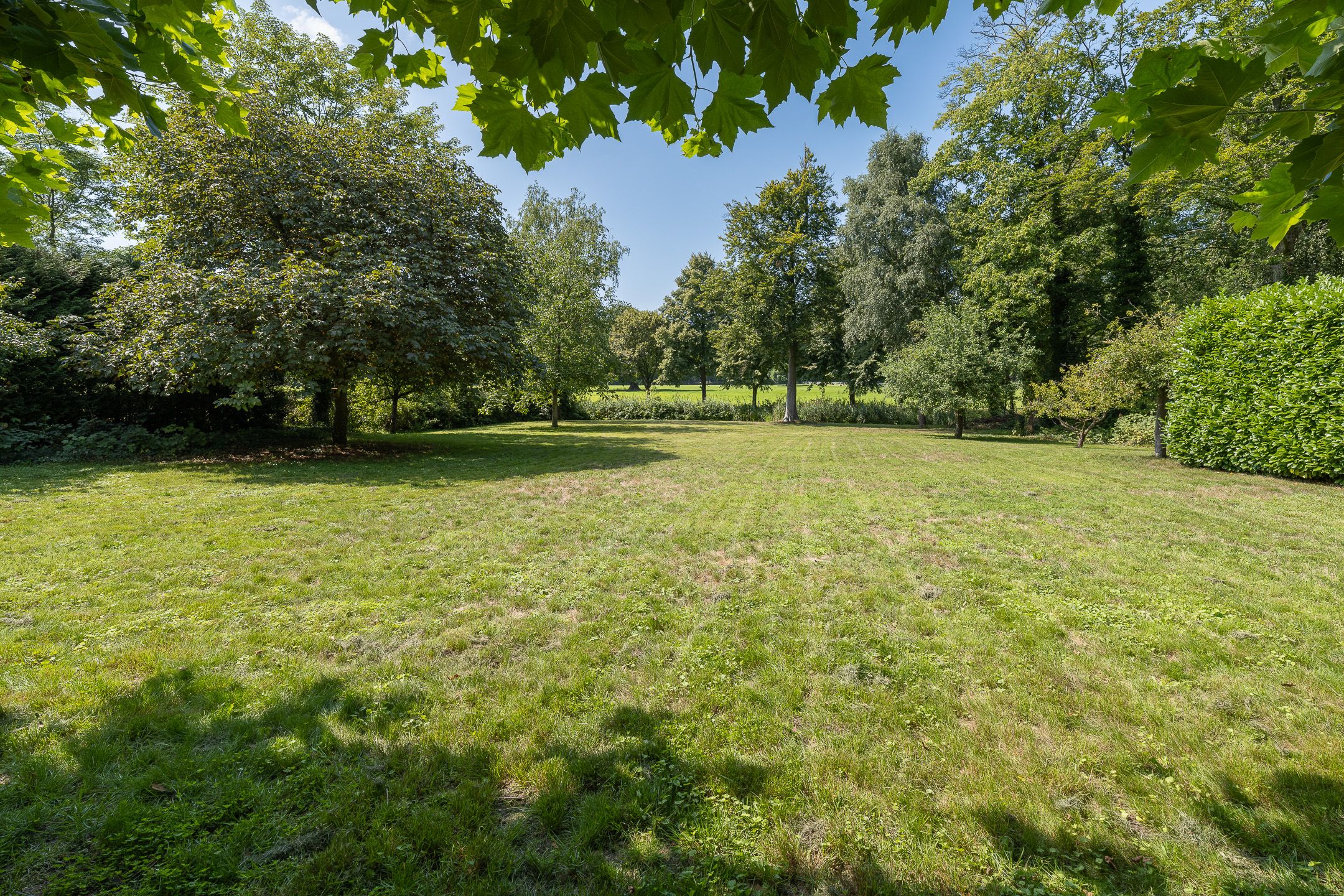 Photo 51 of Oude Meentweg 4-A