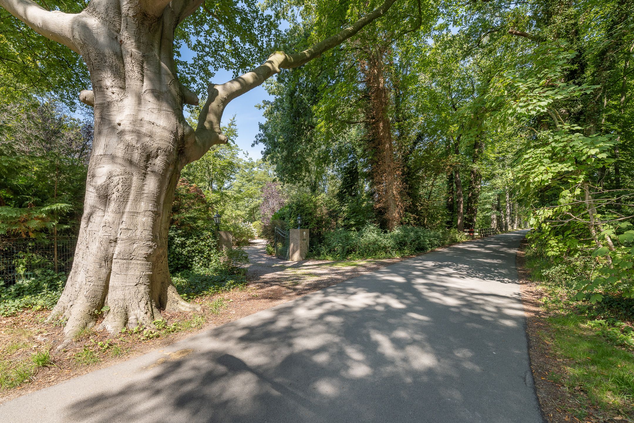 Photo 57 of Oude Meentweg 4-A