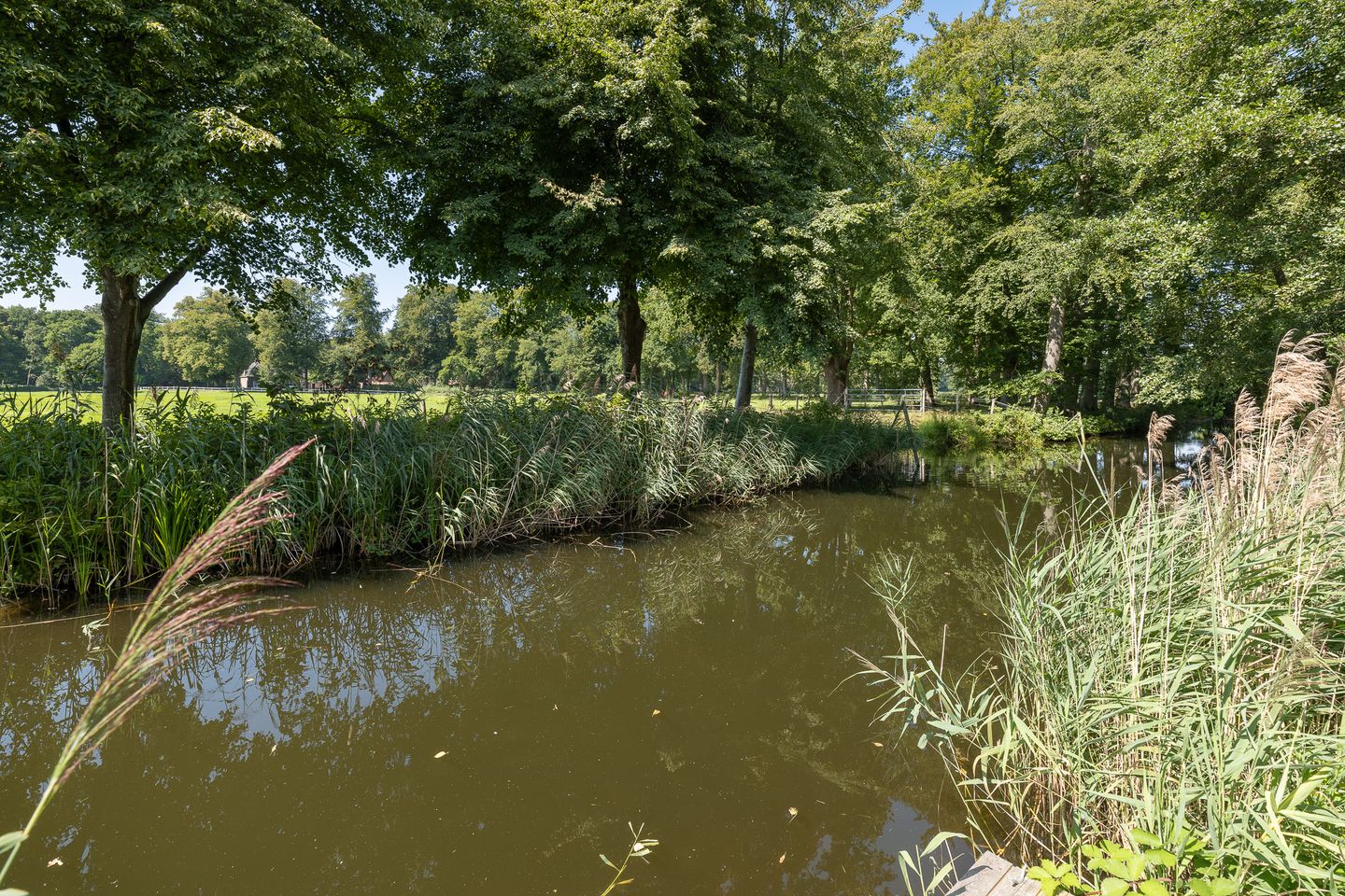 Photo 49 of Oude Meentweg 4-A