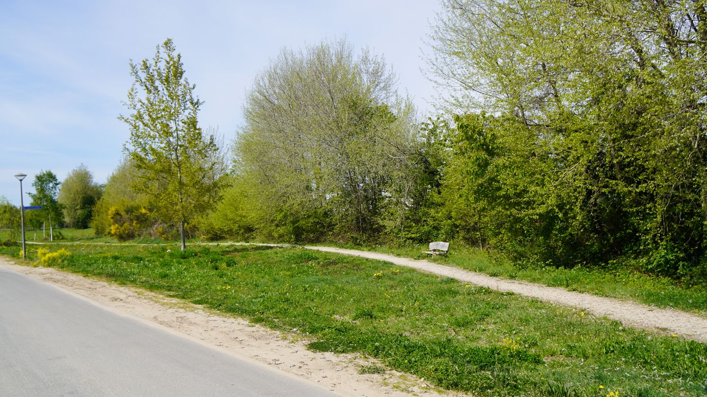 Photo 4 of Veenweg Bouwkavel 160