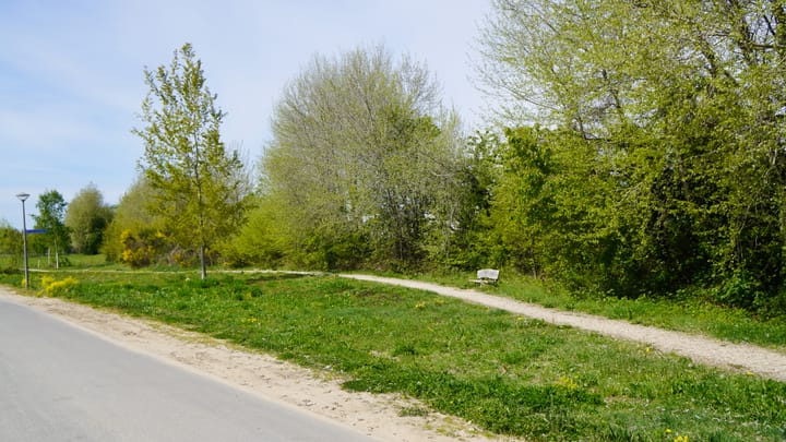 Foto 4 van Veenweg Bouwkavel 160