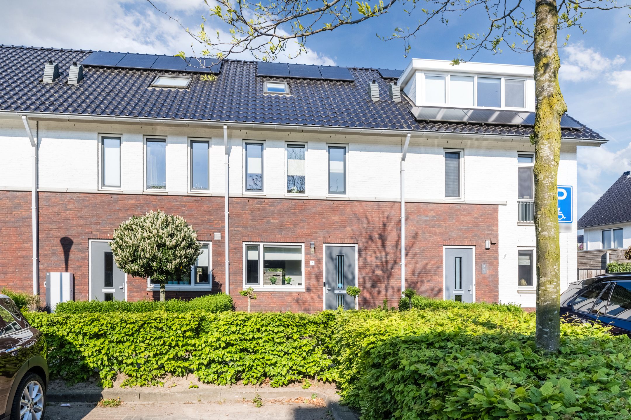 Vuursteen 7 