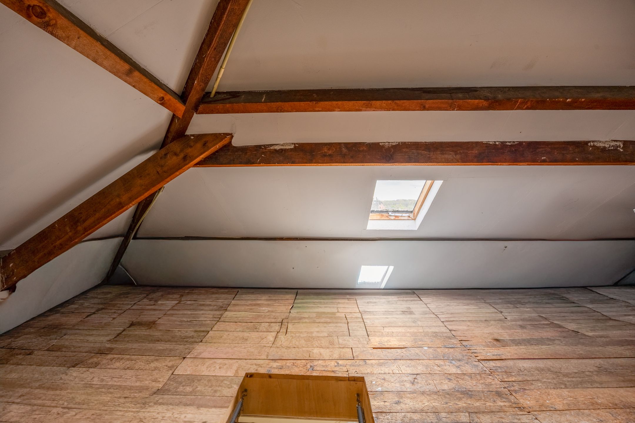 Photo 24 of Paulus Potterstraat 10