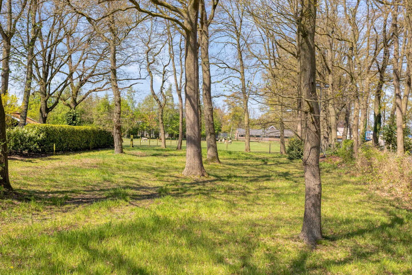 Foto 44 van Veldmaterstraat 196