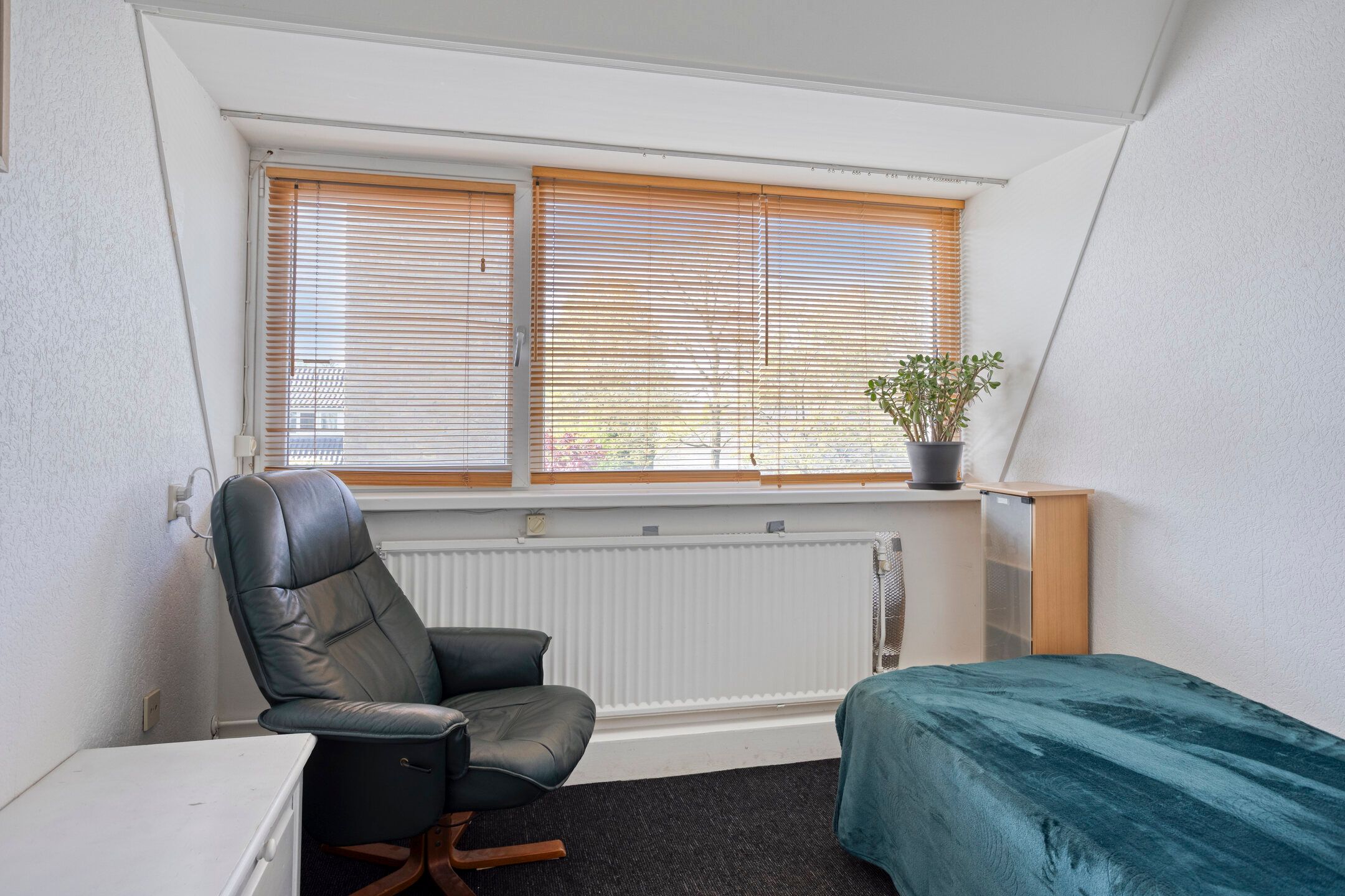 Foto 36 van Veldmaterstraat 196