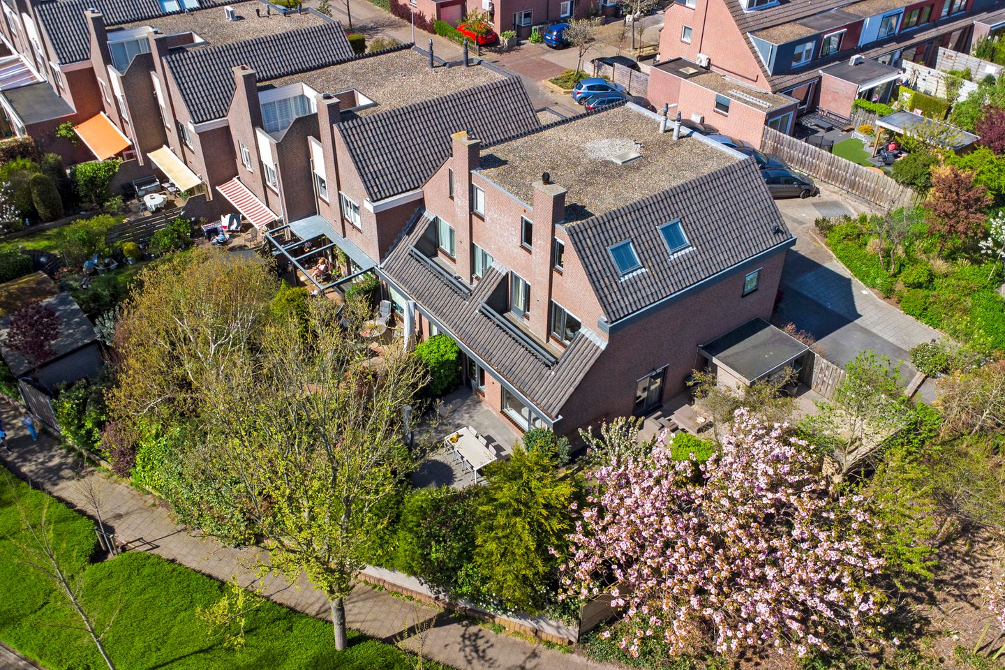 Foto 50 van Mondriaan 41