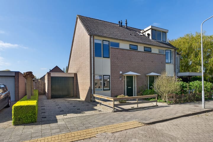 Bunder 20 main image