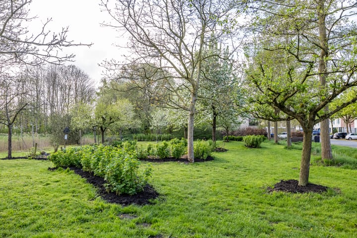 Foto 4 van H.S. Trumanstraat 2