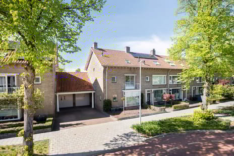 Gabriël Metsulaan thumbnail