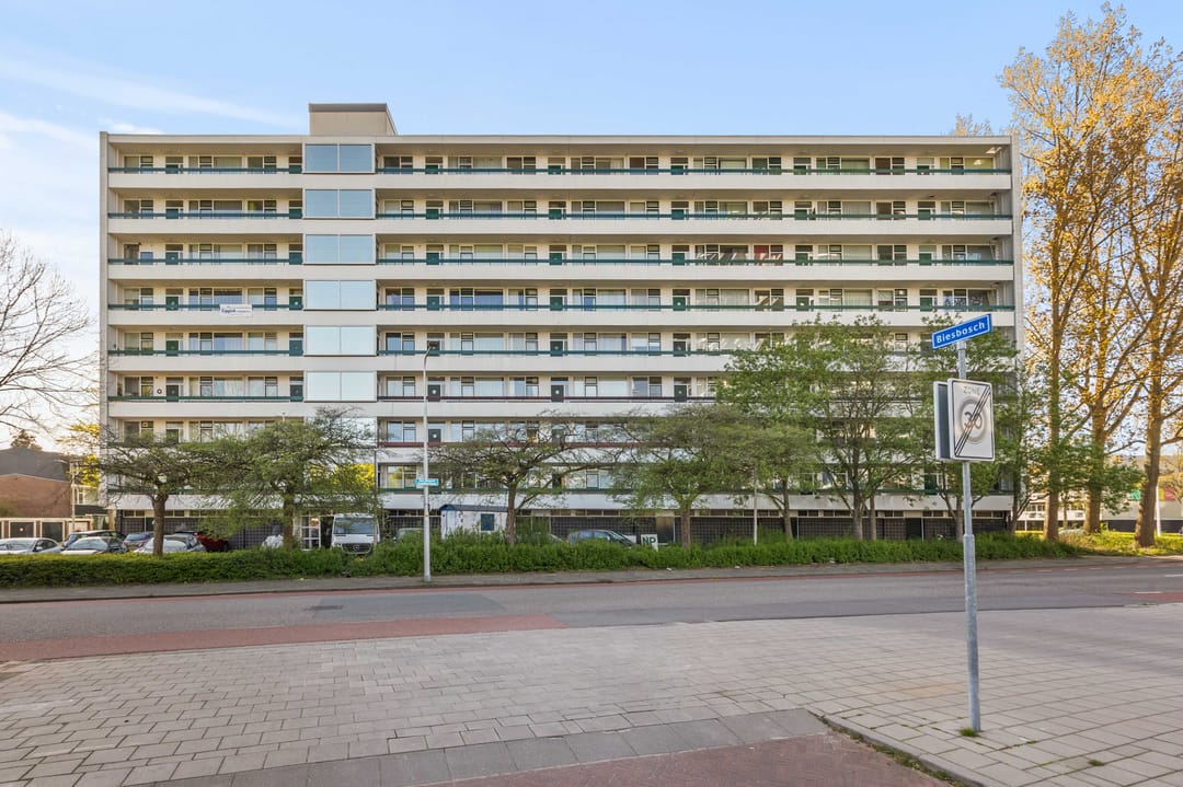 Foto 2 van Sint Philipsland 101