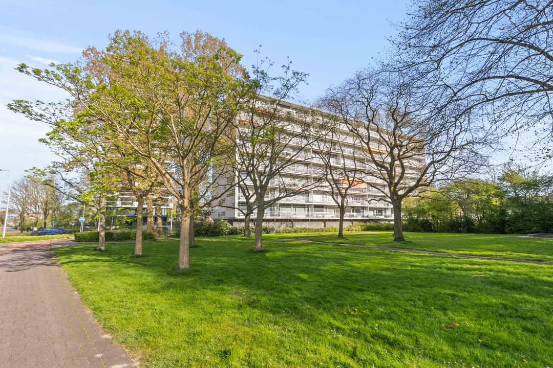 Foto 28 van Sint Philipsland 101