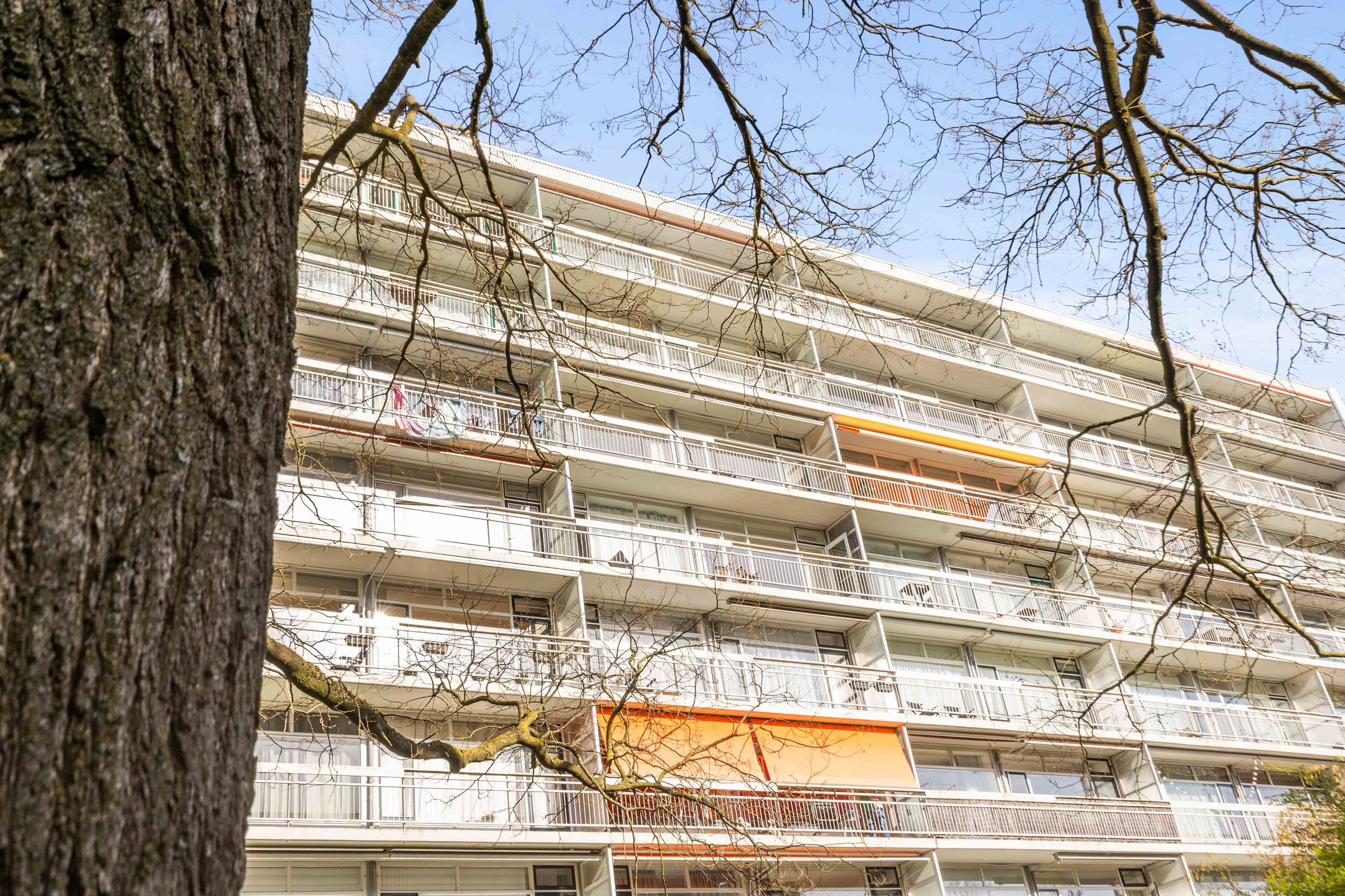 Foto 27 van Sint Philipsland 101