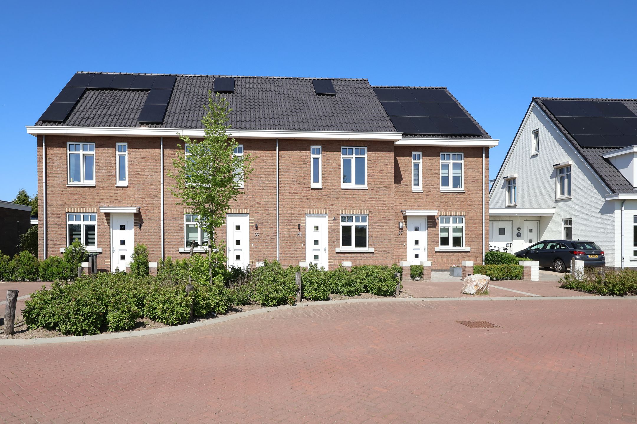 Foto 45 van Ooievaar 35
