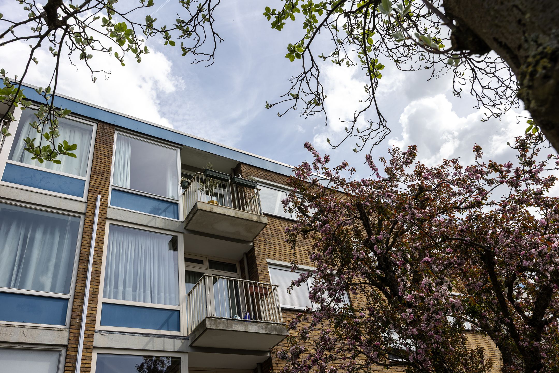 Foto 27 van Van Vollenhovenlaan 172