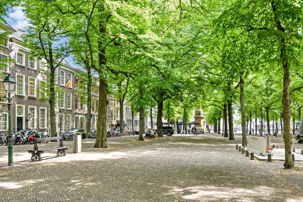 Iconic 1869 Monument City Villa in The Hague Voorhout — 69