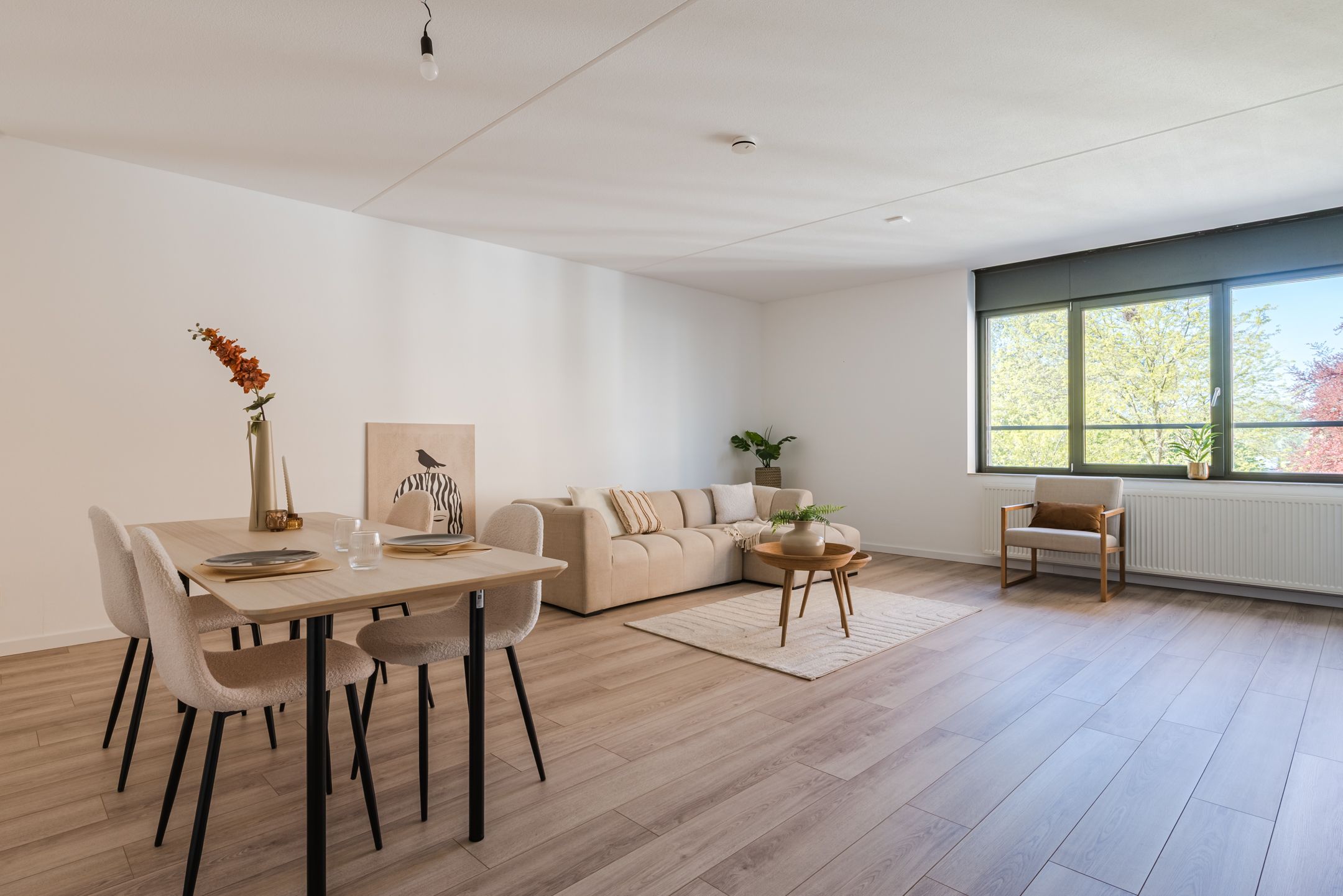 Foto 9 van Mercuriuspad 12