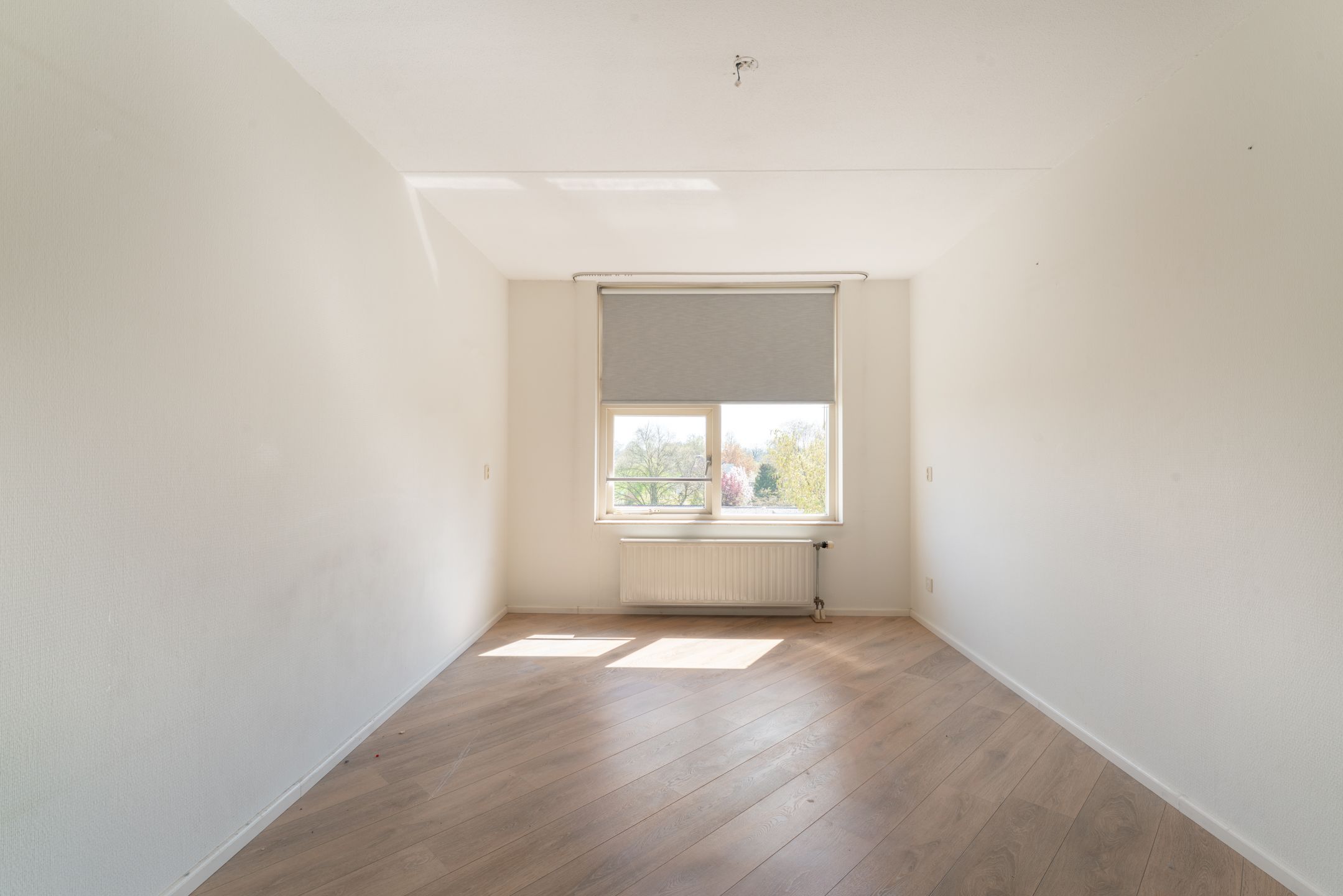 Photo 27 of Schapenweide 74