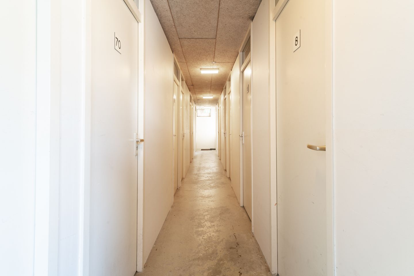 Photo 34 of Schapenweide 74