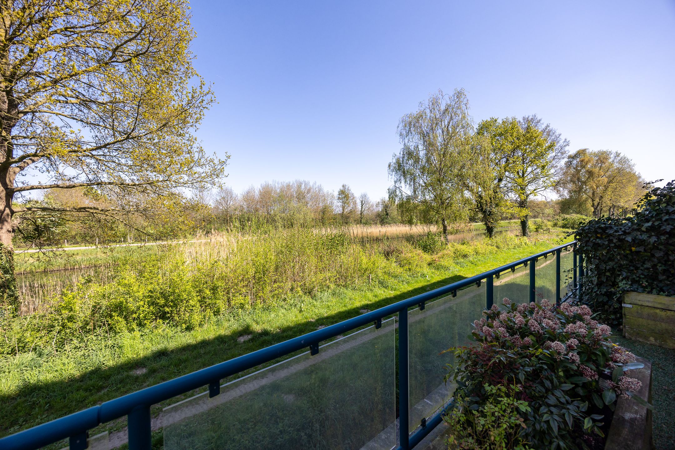 Foto 12 van Veensekom 5