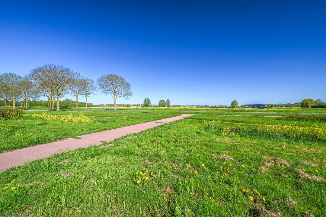 Photo 43 of Koolzaadlaan 167