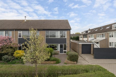 Zonnebloemstraat thumbnail