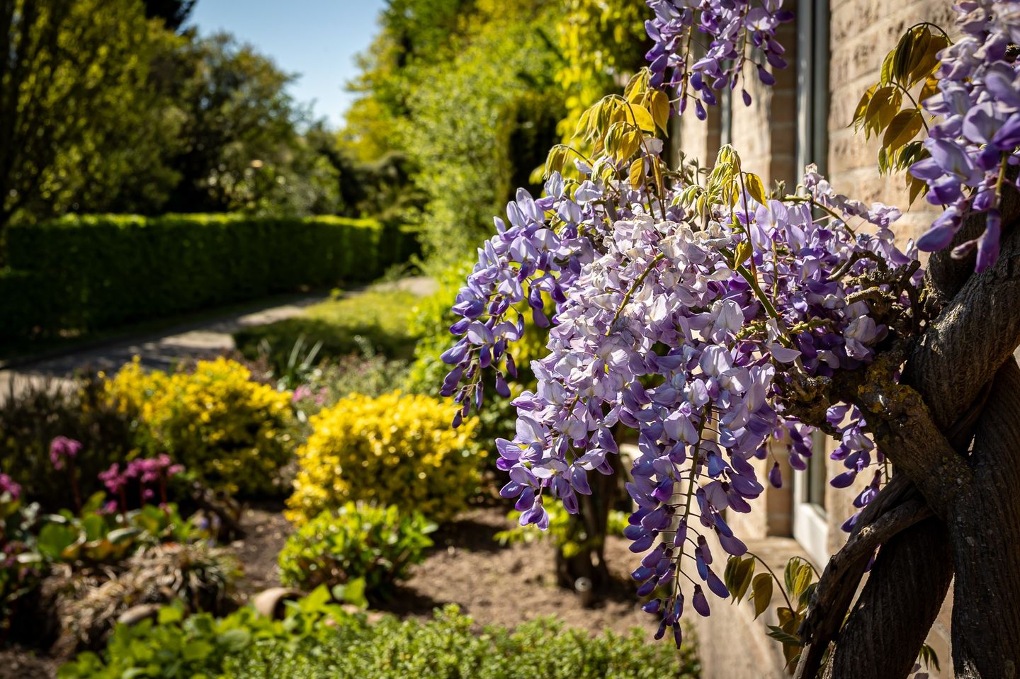 Foto 40 van Klaverberg 2